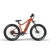 Wildcat Fat Panther E-MTB 18 x 26" Electric Bike : Orange